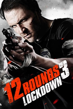 12 Rounds 3 Lockdown 2015 Hindi Dual Audio [780MB] HD Poster Download - filmyfly