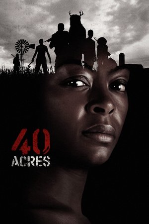 40 Acres (2025) Hindi (MULTI AUDIO) – –