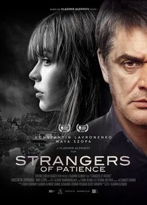 Strangers of Patience 2018 Hindi Dual Audio HD Poster Download - filmyfly