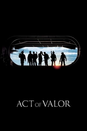 Act of Valor (2012) Hindi Dual Audio 390MB HD Poster Download - filmyfly