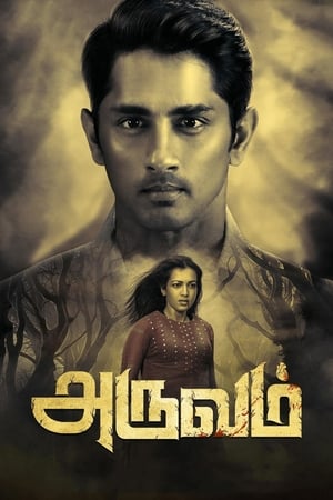 Aruvam (2019) (Hindi -Tamil) Dual Audio [1.4GB] HD Poster Download - filmyfly