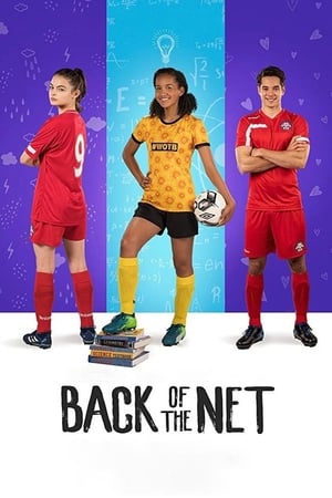Back of the Net (2019) Hindi Dual Audio [800MB] HD Poster Download - filmyfly