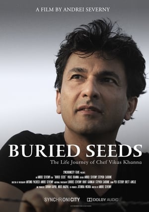 Buried Seeds 2019 Hindi Dual Audio [700MB] HD Poster Download - filmyfly