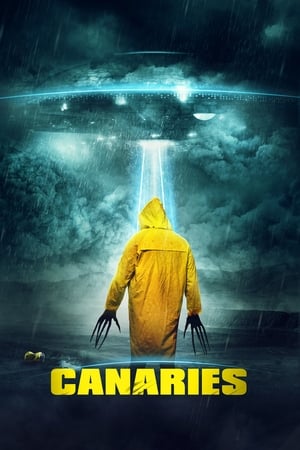 Canaries (2017) Hindi Dual Audio [840MB] HD Poster Download - filmyfly