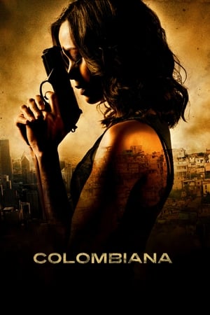 Colombiana (2011) Hindi Dual Audio [1.1GB] HD Poster Download - filmyfly