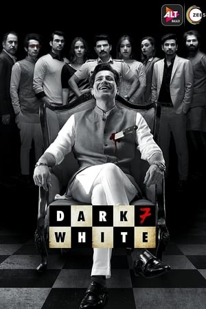 Dark 7 White 2020 Season 1 Hindi Web Series | [COMPLETE] HD Poster Download - filmyfly