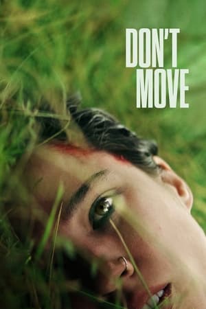Dont Move 2024 Hindi ORG Dual Audio – – HD Poster Download - filmyfly