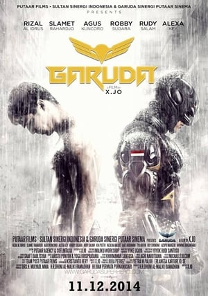 Garuda Superhero (2015) Hindi Dubbed [750MB] HD Poster Download - filmyfly