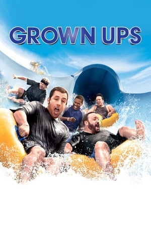 Grown Ups (2010) Hindi Dual Audio 300MB HD Poster Download - filmyfly