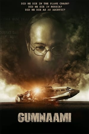 Gumnaami (2019) Hindi Movie - [400MB] HD Poster Download - filmyfly