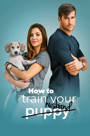 How to Train Your Husband 2018 Hindi Dual Audio [1GB] HD Poster Download - filmyfly