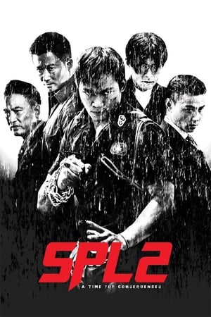Kill Zone 2 (2015) Hindi Dual Audio [1.5GB] ESubs HD Poster Download - filmyfly