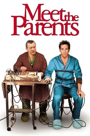 Meet the Parents 2000 Hindi Dual Audio 350MB HD Poster Download - filmyfly