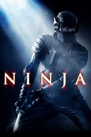 Ninja (2009) Hindi Dual Audio – HD Poster Download - filmyfly