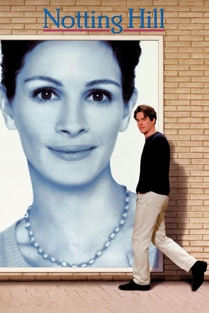 Notting Hill 1999 Hindi Dual Audio 380MB HD Poster Download - filmyfly