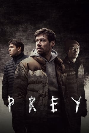 Prey (2021) (ENGLISH) – – 720p HD Poster Download - filmyfly