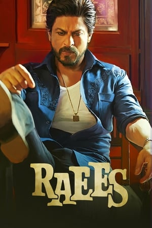 Raees (2017) 400MB Full Movie Download HD Poster Download - filmyfly