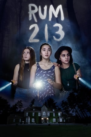 Rum 213 2017 Hindi Dual Audio 280MB HD Poster Download - filmyfly
