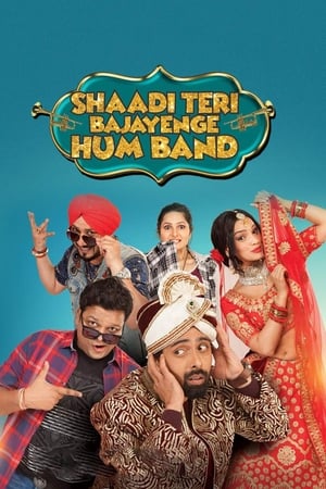 Shaadi Teri Bajayenge Hum Band (2018) Movie – [350MB] HD Poster Download - filmyfly