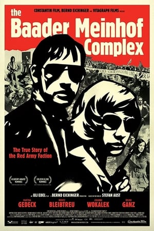 The Baader Meinhof Complex (2008) Hindi Dual Audio [1.2GB] HD Poster Download - filmyfly