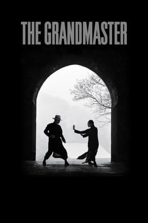 The Grandmaster (2013) Hindi Dual Audio 350MB ESubs HD Poster Download - filmyfly
