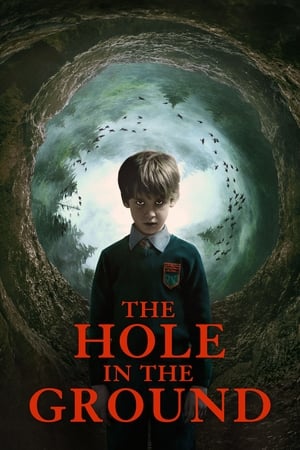 The Hole in the Ground 2019 Hindi Dual Audio 300MB HD Poster Download - filmyfly