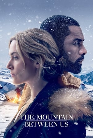 The Mountain Between Us 2017 Dual Audio Hindi [1GB] HD Poster Download - filmyfly